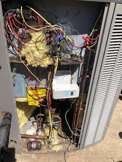 'Service mice' at work. 'Service mice' at work.