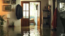 676d93fa16485c77643fc35e Dreamstime M 344948712 676d93fa16485c77643fc35e Dreamstime M 344948712