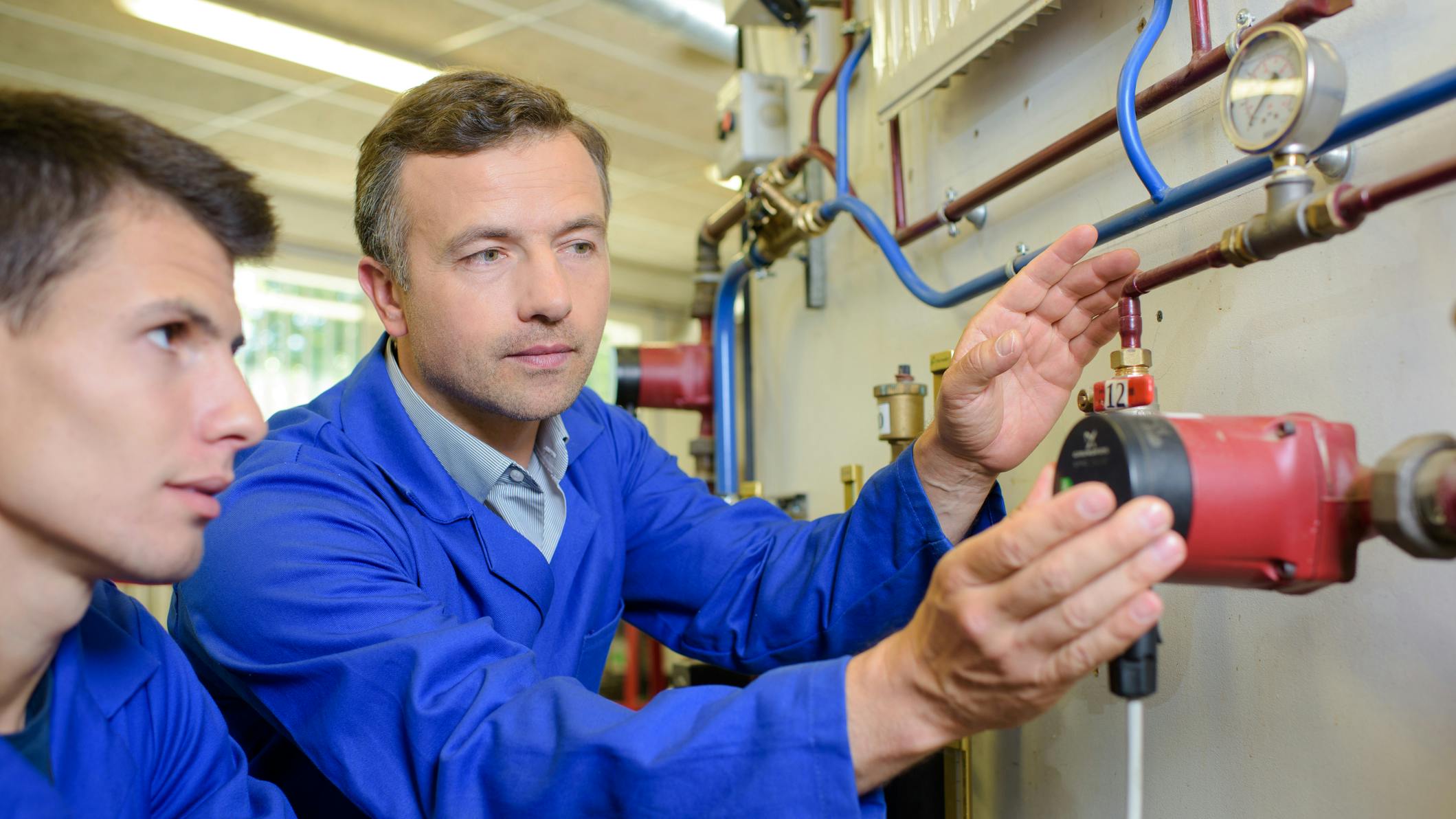 678fd19bc6b5b9ecd576fc1b Dreamstime M 312438567