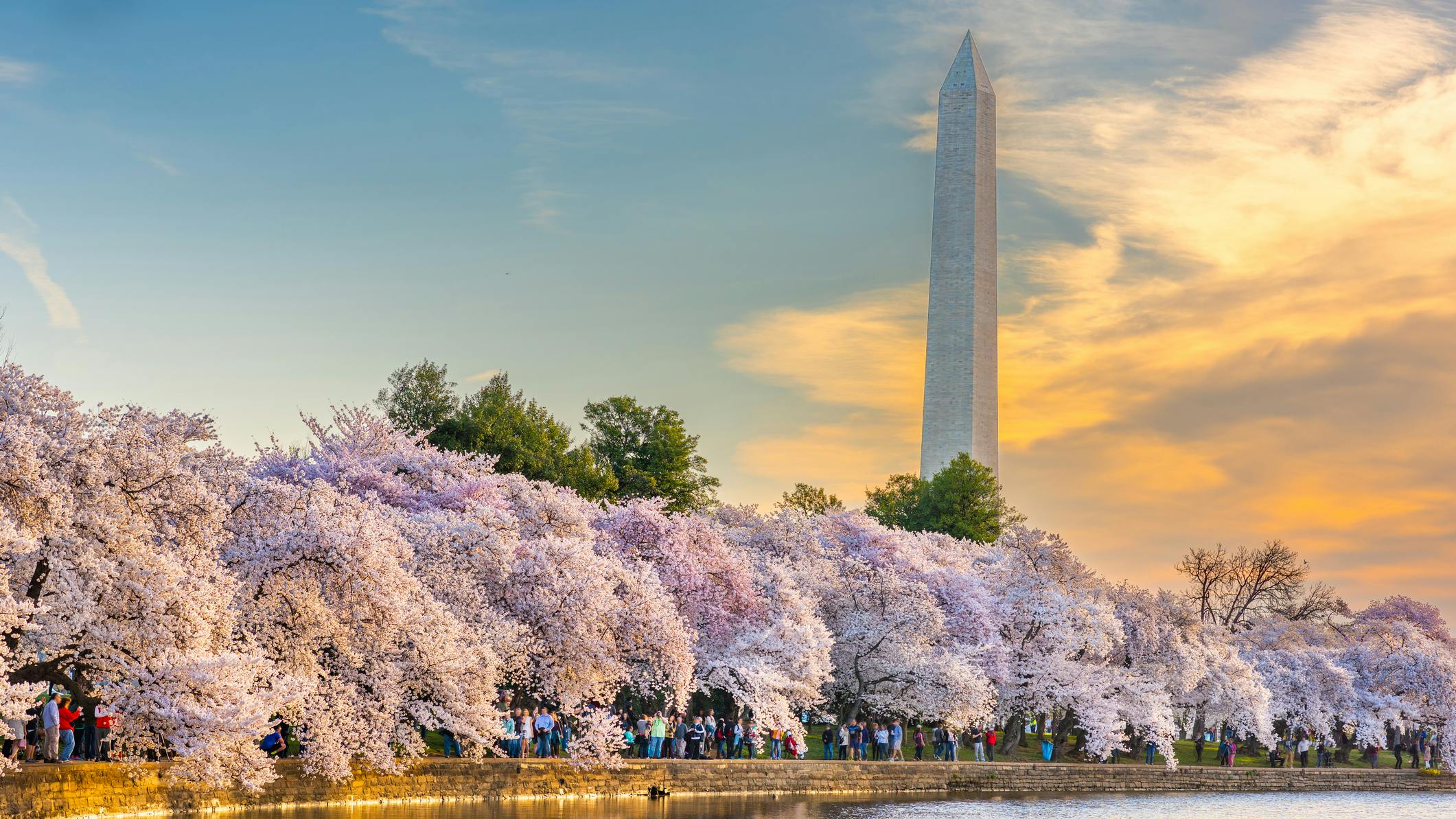 67a67cda024d3fef1648665b Dreamstime M 171339018