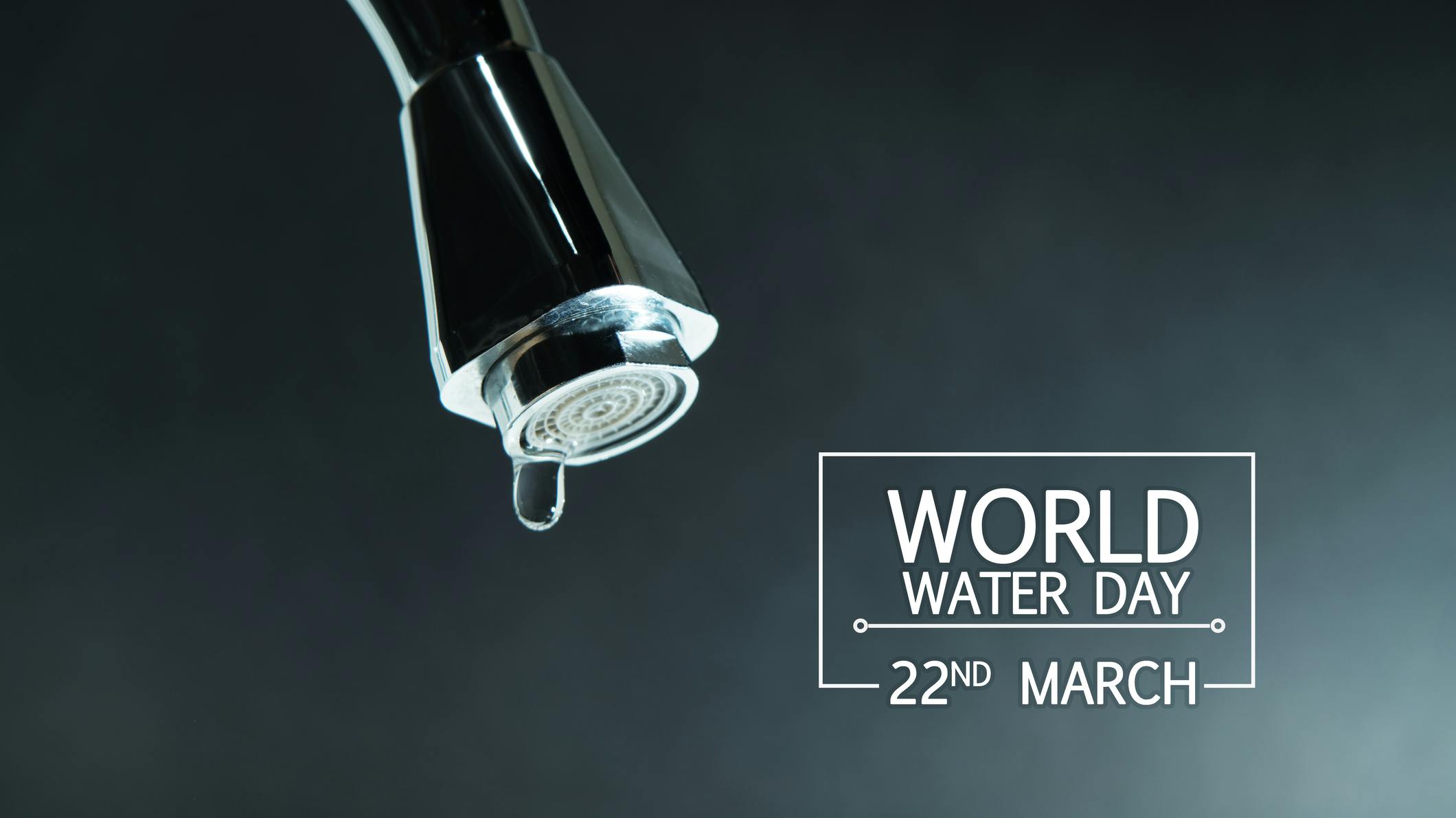 67d45414e85f622c31c260a0 Dreamstime M 141822218