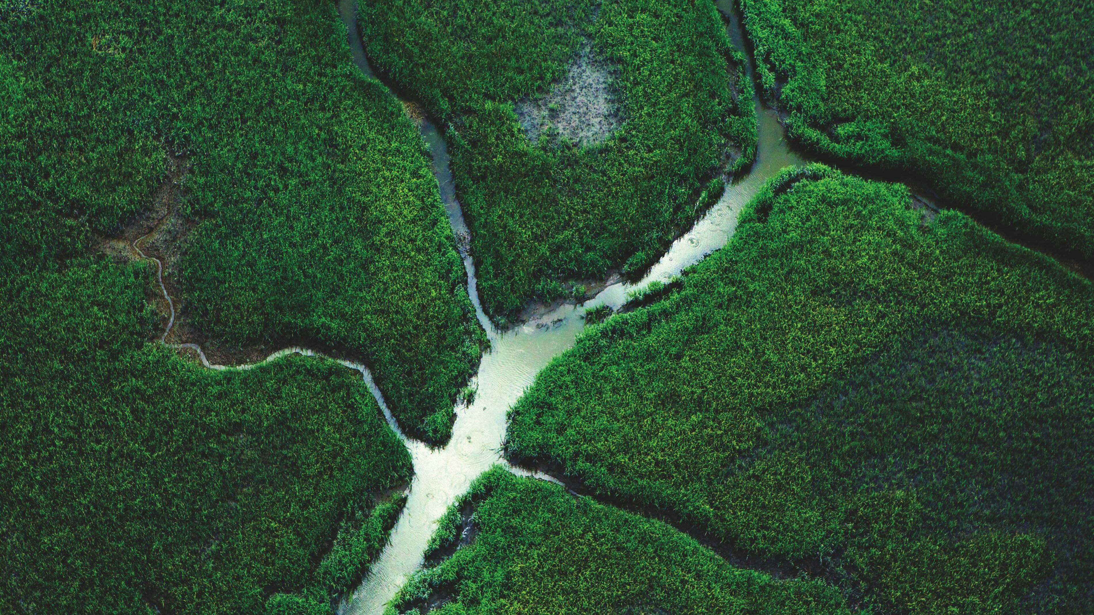 67ffe4c01f08d21bb7a898e3 Sloanearthdayphoto