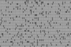 1660253252323 Binarycodegray 1660253252323 Binarycodegray