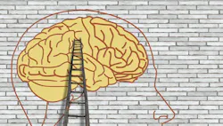 1660253843897 Rethinkbrainhero 1660253843897 Rethinkbrainhero