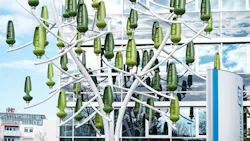 EH-2020-wind-tree-sb EH-2020-wind-tree-sb