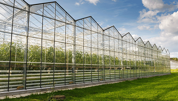 artificial-intelligence-of-things-greenhouse-case-study-hero