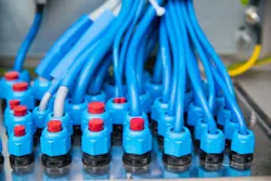 feige-fig02 feige-fig02