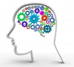 CD1506-stemarticle2 CD1506-stemarticle2