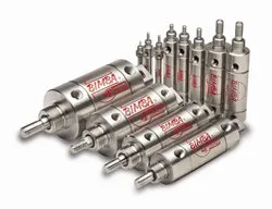 CD1204_bimba CD1204_bimba