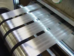 CD1006_RP10 CD1006_RP10