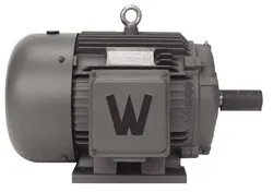 CD_1009_RU19 CD_1009_RU19