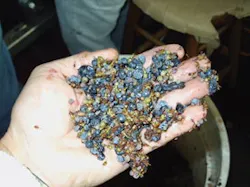 CD0909_Feat2Fig1 CD0909_Feat2Fig1