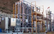 article_333_fig2 article_333_fig2