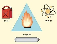 article_290_fig article_290_fig