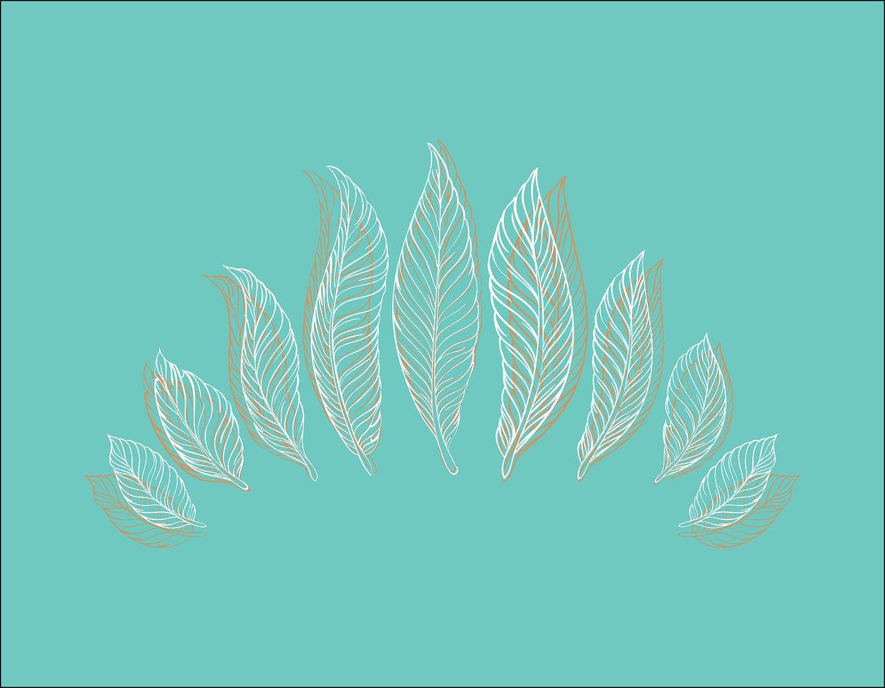 1660601352734 Feathergentle