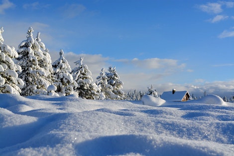 1660601436916 Snowfb