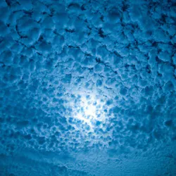 1660601522312 1809livewirecloudyfb 1660601522312 1809livewirecloudyfb