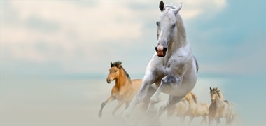 1660601947804 Cd1409readerschoiceawardsattributes