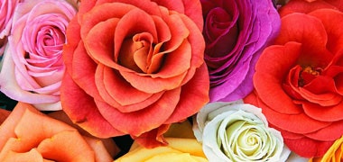 1660602245175 Cd1310techflash