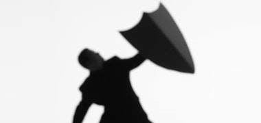 1660602887776 Cd1109shield