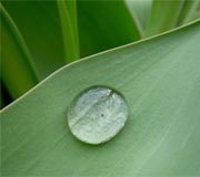 1660604155581 Cd1104 Greenair