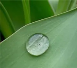 1660604155581 Cd1104 Greenair 1660604155581 Cd1104 Greenair