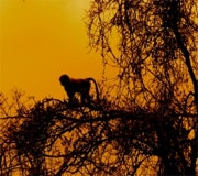 1660604162451 Ine11q1 Feat2