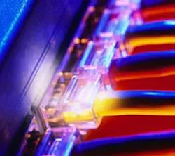 1660604214296 In10q4 Trees And Rings 1660604214296 In10q4 Trees And Rings