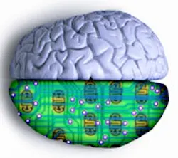 1660604235381 Cd1007 Smartcomp 1660604235381 Cd1007 Smartcomp