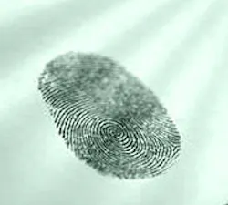 1660604270159 Raf10 Greenprint 1660604270159 Raf10 Greenprint