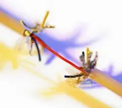 1660604309095 In10q4 Modual Io 1660604309095 In10q4 Modual Io