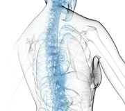 1660604340222 In10q2 Spine