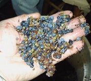 1660604564421 Cd0909 Feat2button