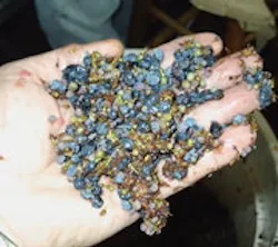 1660604564421 Cd0909 Feat2button 1660604564421 Cd0909 Feat2button