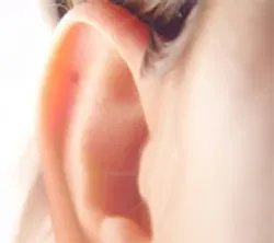 1660604588993 Cd0910 Listening 1660604588993 Cd0910 Listening