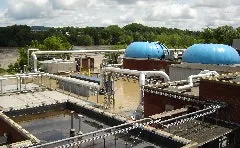 article_139_fig1 article_139_fig1