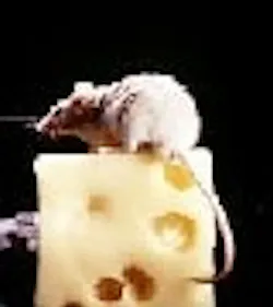 1660605135500 Article 071 Tnail 1660605135500 Article 071 Tnail