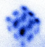 news_009_atomz_fig3 news_009_atomz_fig3