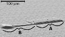 news_046_nanorobot news_046_nanorobot