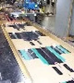 1661895833904 Article 258 Polyprotnail2 1661895833904 Article 258 Polyprotnail2