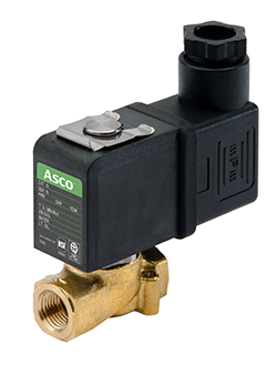 1663366758938 Emersondsc4807web