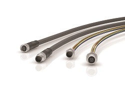 Binder-M8-12-pin-250