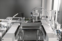 1663369633312 Festoexcmplanargrantries250