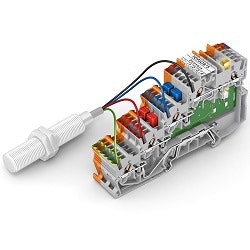 1663369642256 Wagotopjob250