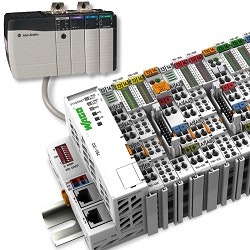 1663370555258 Wagoaoi250