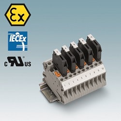 1663371524162 Phoenixut4mtex2