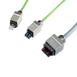 1663375983048 Product 039 Phoenix 1663375983048 Product 039 Phoenix