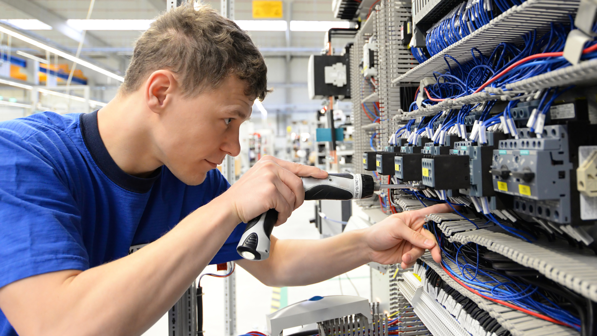 Shutterstock 1551713267