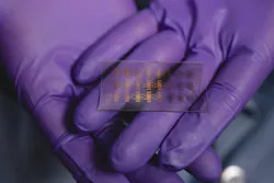 Figure 1: As in nature, light triggers an electrochemical reaction in the prototype device they have built. Figure 1: As in nature, light triggers an electrochemical reaction in the prototype device they have built.