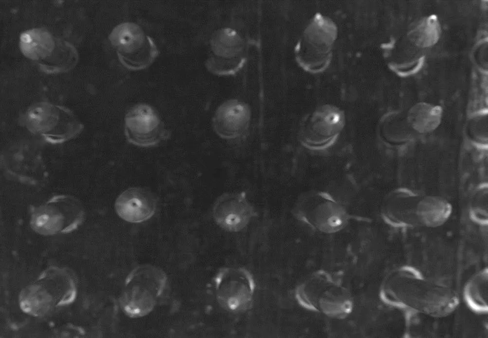 Figure 2: This application tried to inspect the tops of the bullets. But with too many samples inspected in one image, it becomes distorted. The top of the bullets in the center are easy to see, but the ones on the edge look down the side of the bullet, adding in variability that makes for a harder application.